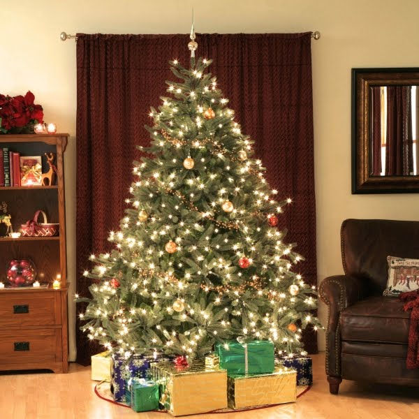 Vin sărbătorile, vin