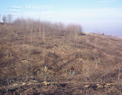 Declarăm război bandelor de hoţi din sate!