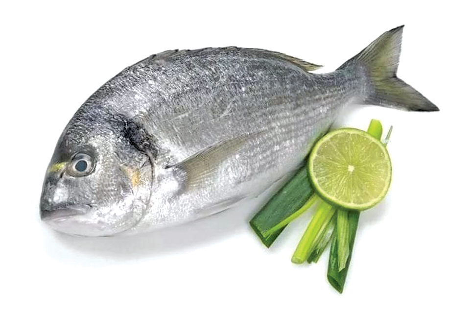 Beneficiile consumului doradei