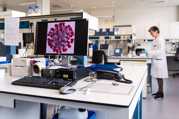 Numărul real al infecțiilor, mult mai mare