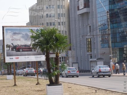 Zece fântâni arteziene pe bulevardul Brăilei