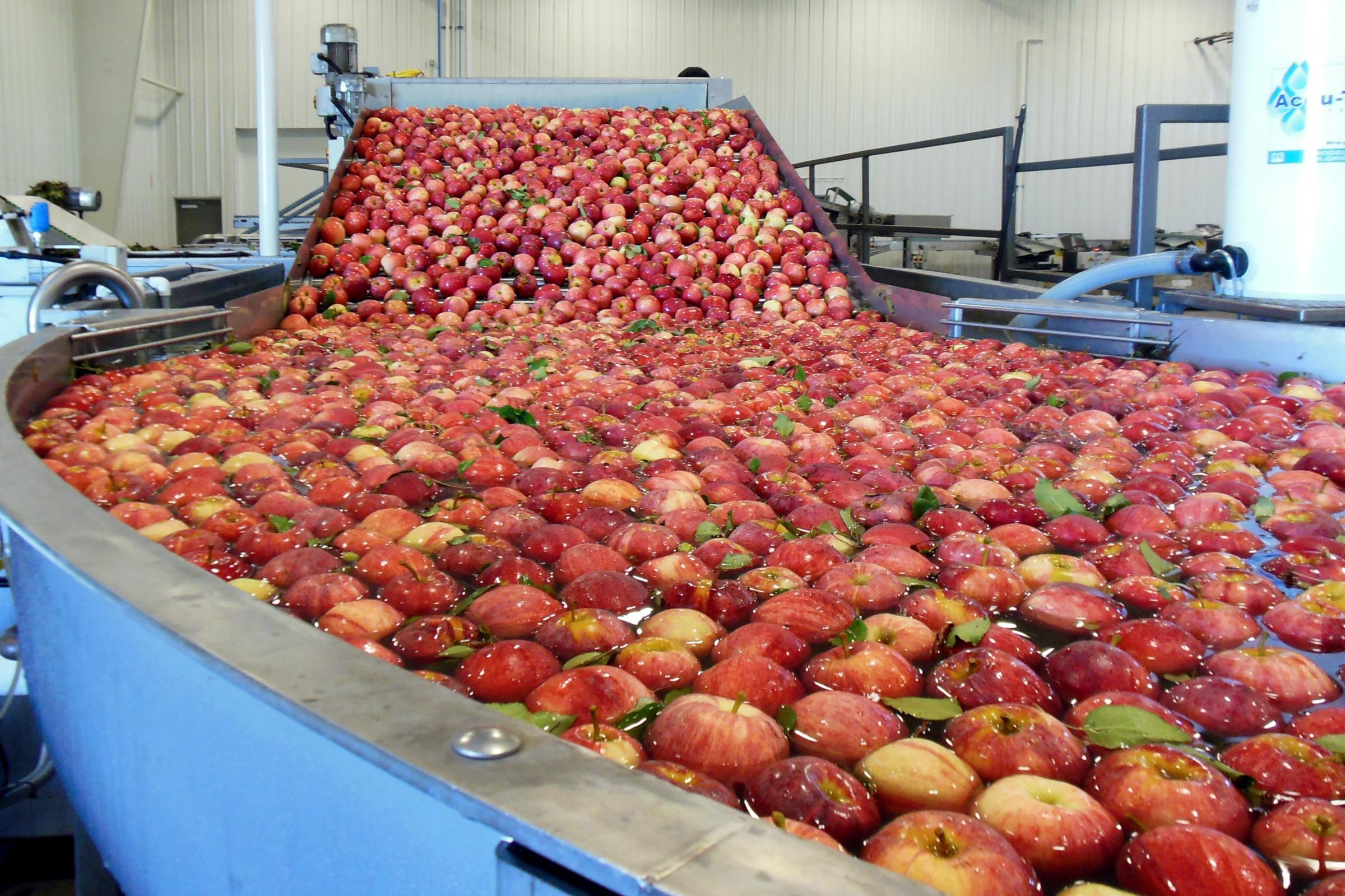 Milioane de euro pentru procesarea recoltelor