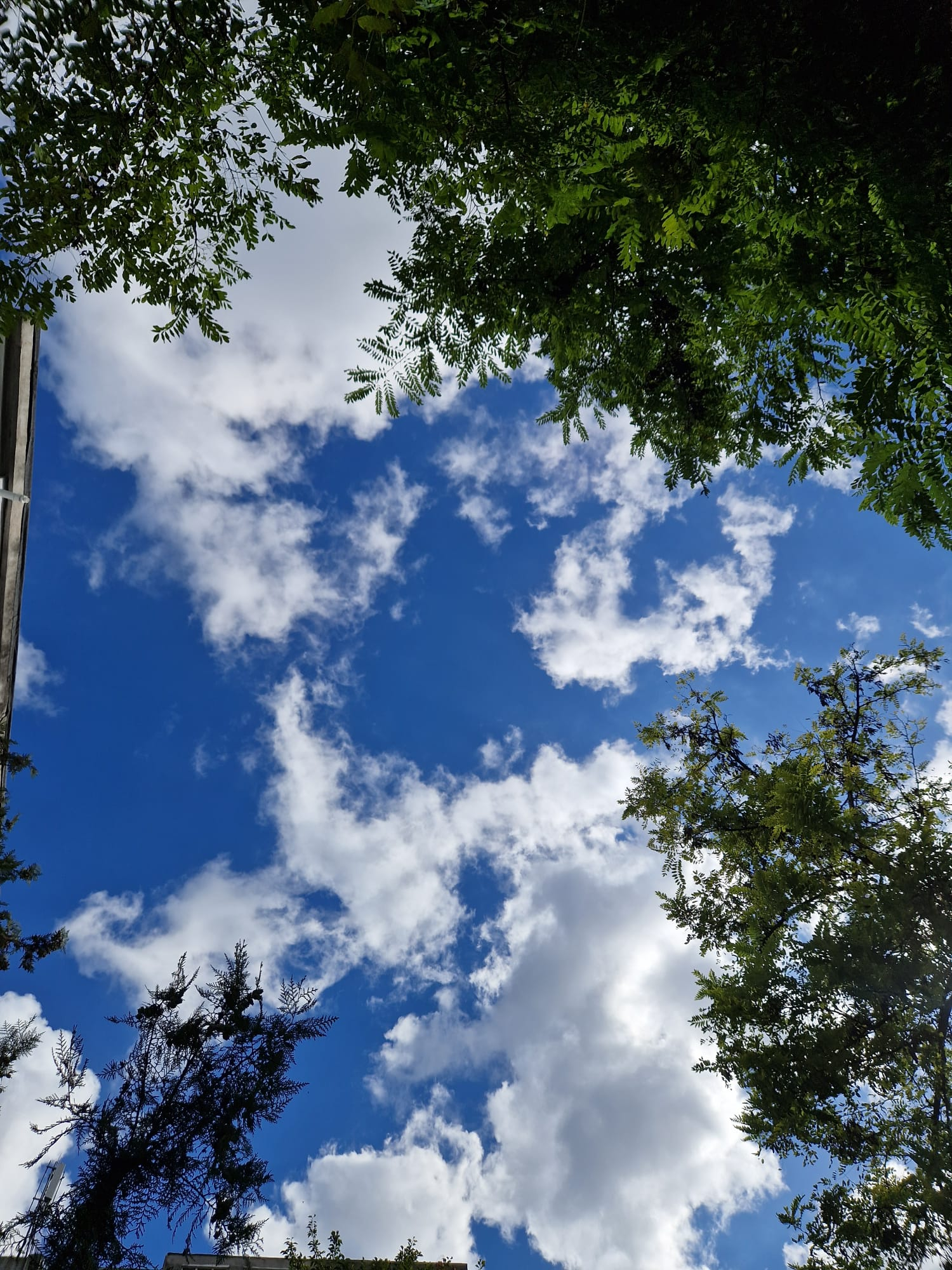 Cer variabil şi cel mult 14 grade Celsius