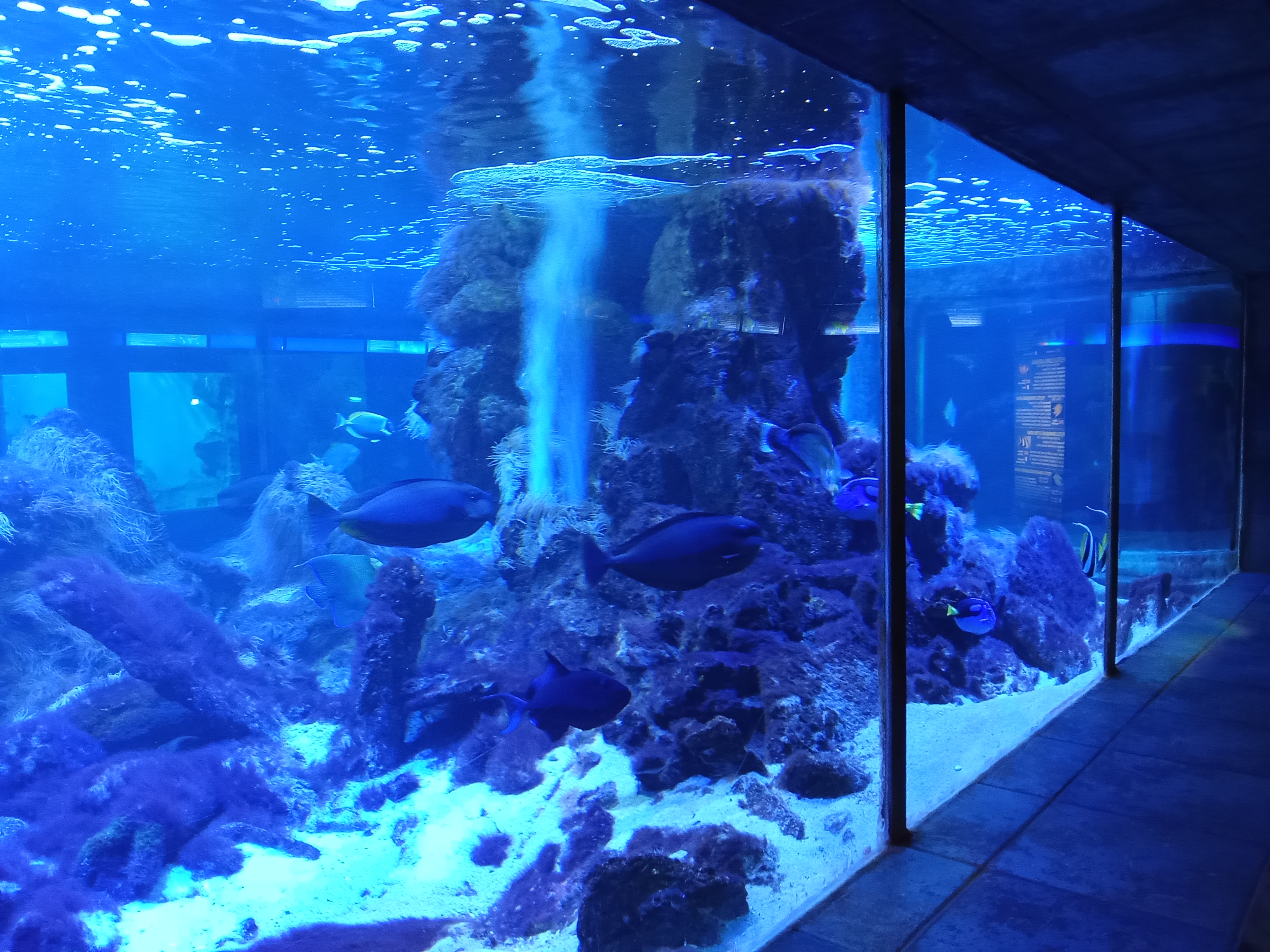 Ce expoziții pot fi vizitate în acest weekend