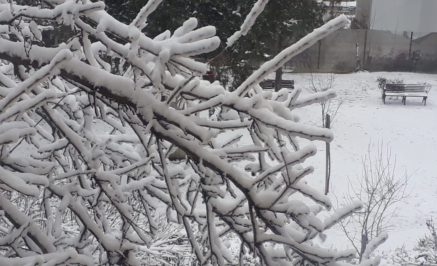 PROGNOZA METEO | Cum va fi vremea la Galați