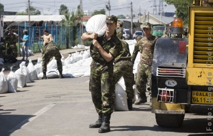 Digul - programat să reziste 