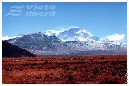 „Suntem la 5.500 de metri!”