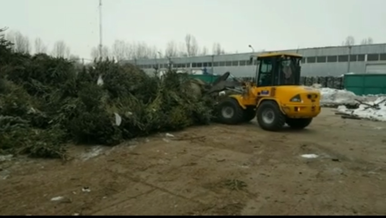 BRAZII de Crăciun, colectaţi separat de Ecosal