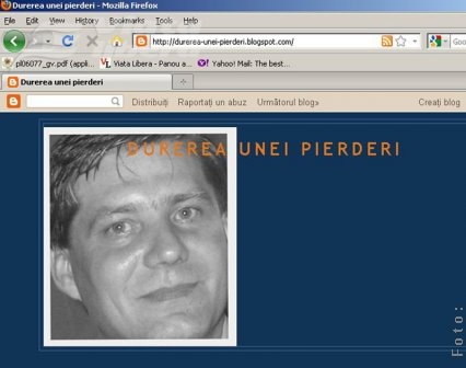 „Durerea unei pierderi”