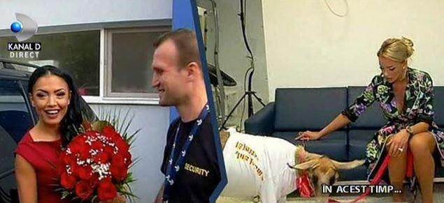 Toate caprele ajung la televizor