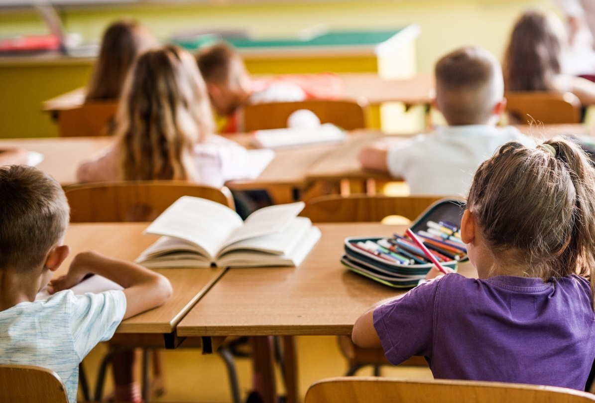 Învățământ doar cu titulari, implementat peste vară