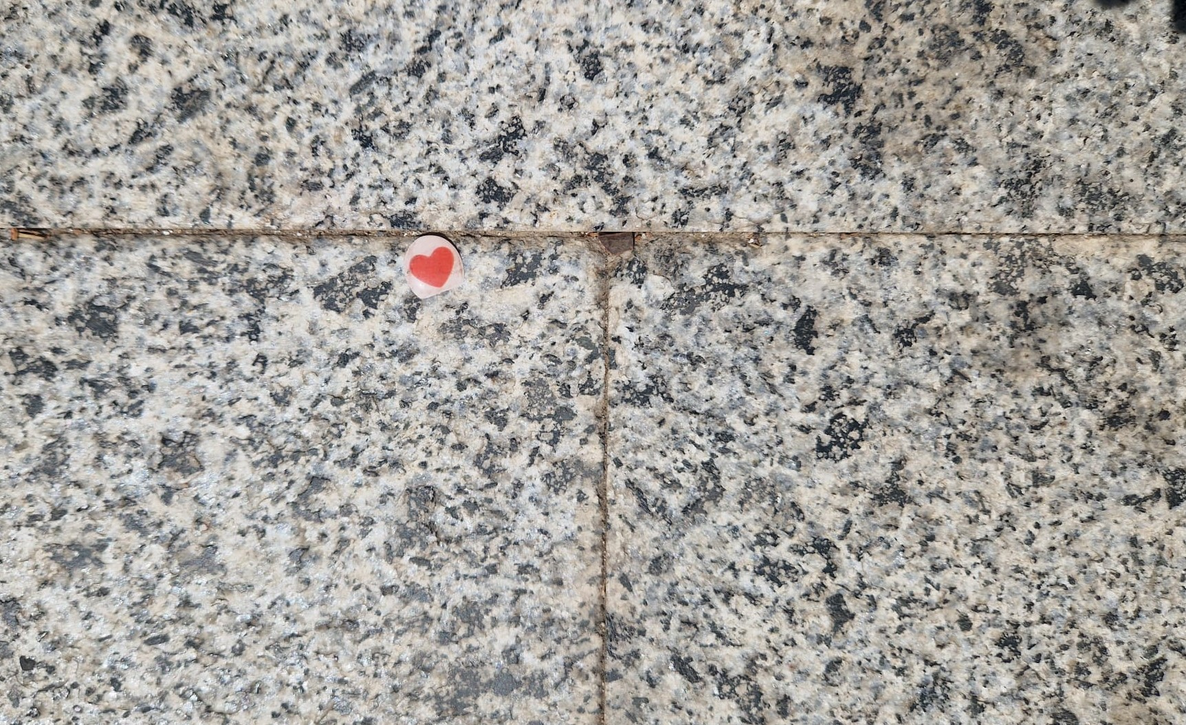 Poza zilei. O inimă pierdută într-un ocean de gri