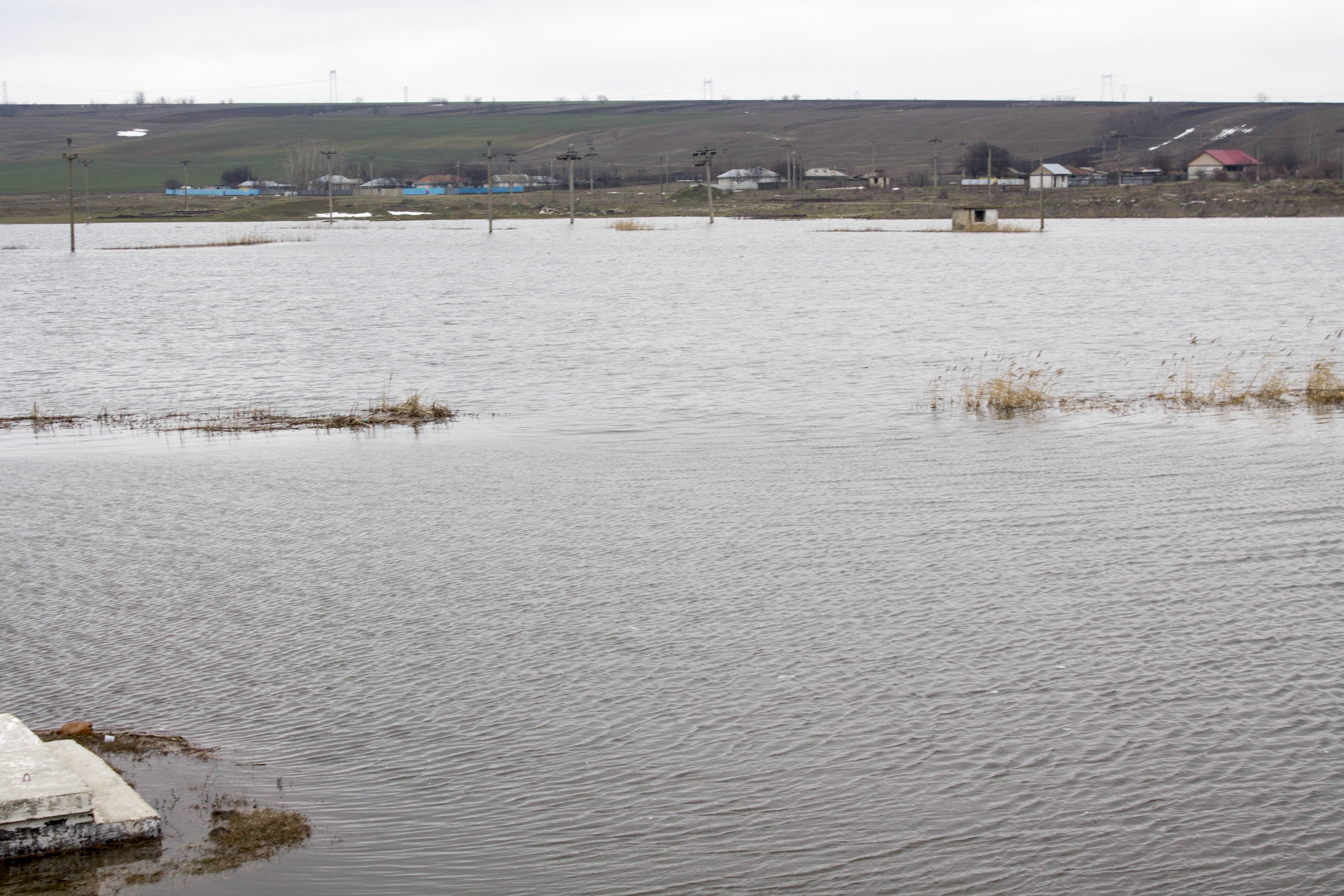 Subvenţia merge şi pentru câmpurile inundate