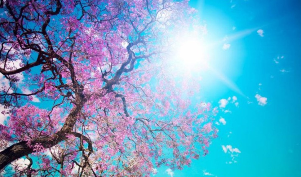 Cum va fi vremea în următoarele săptămâni