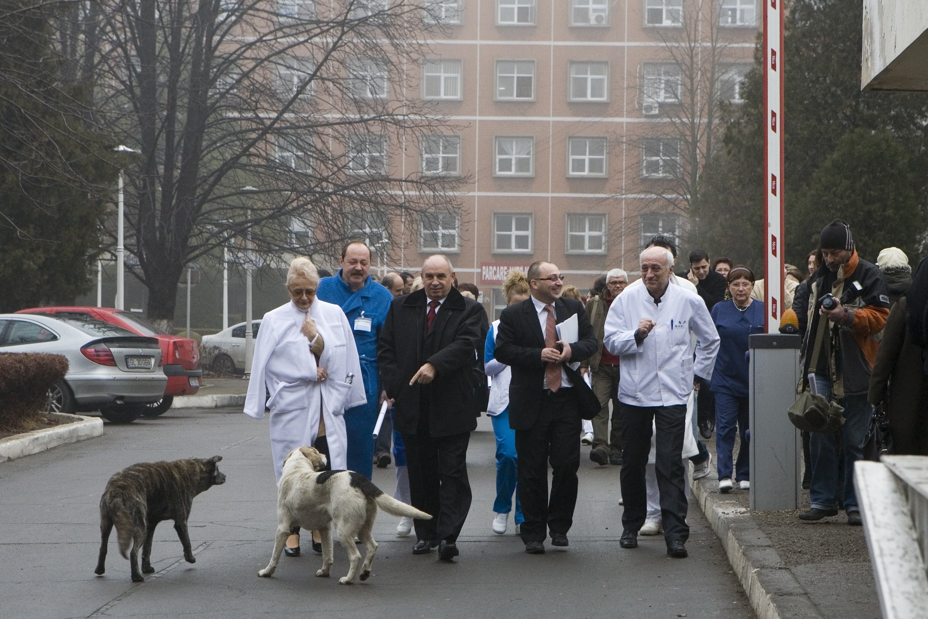 Teroarea din jurul spitalului: Haitele i-au băgat pe oameni în sperieţi