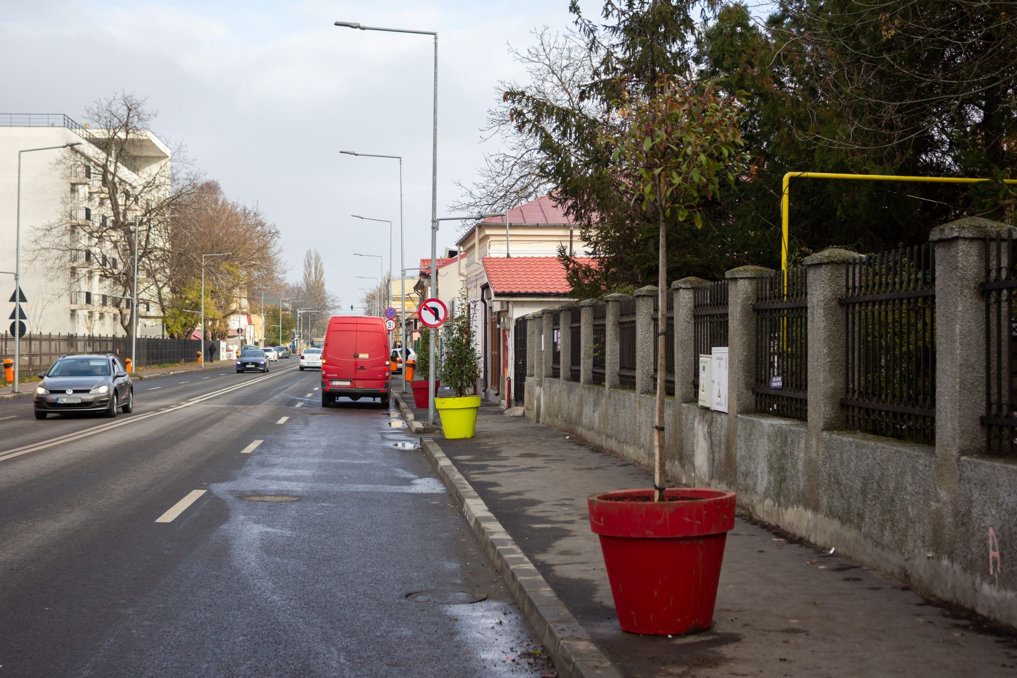 Pe Basarabiei, copaci la ghiveci (FOTO)
