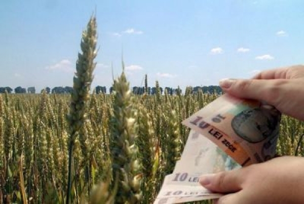 APIA: Subvenţia acordată agricultorilor pentru 2013 va fi mai mare decât cea de anul trecut