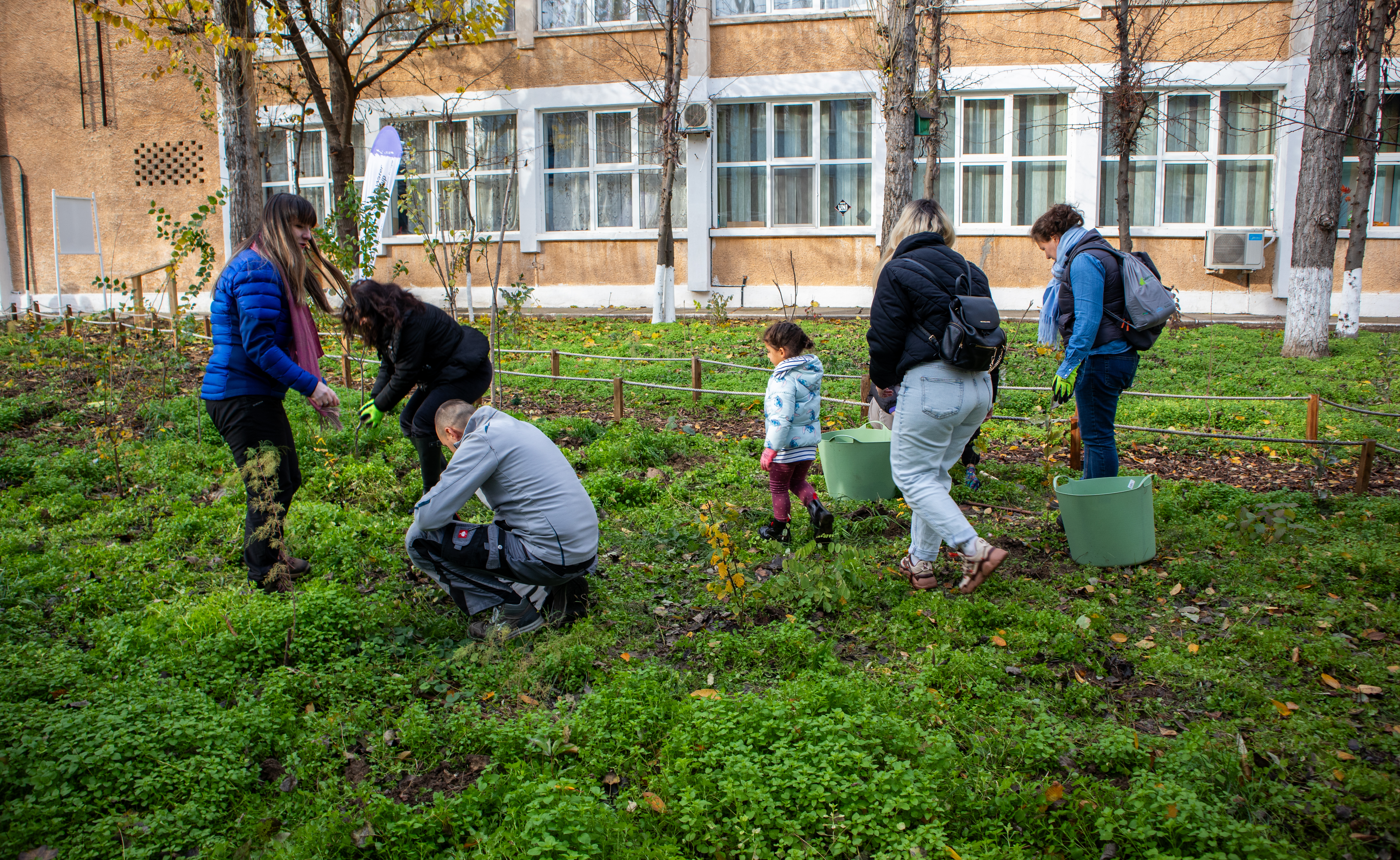 Minipăduri urbane în școli gălățene. Proiect care aduce verdeață în oraş