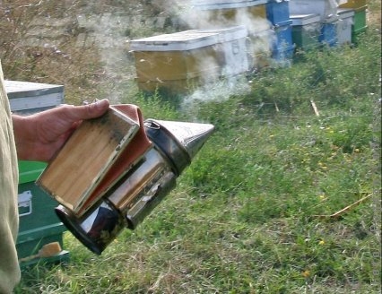 Apicultor transformat în torţă vie