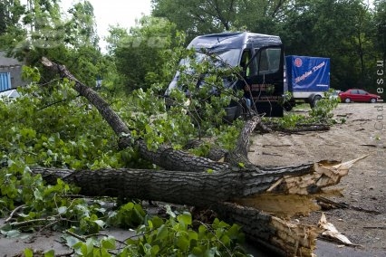 Mercedes Sprinter răpus de un plop