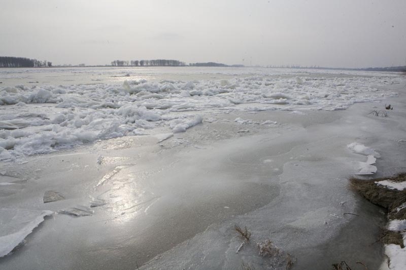 Blocaj pe Dunăre - Operaţiuni pentru eliberarea navelor captive în gheaţă