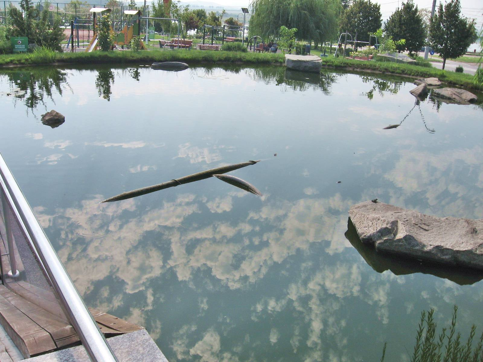 Lacul din Parcul ”Viva”, un dezastru