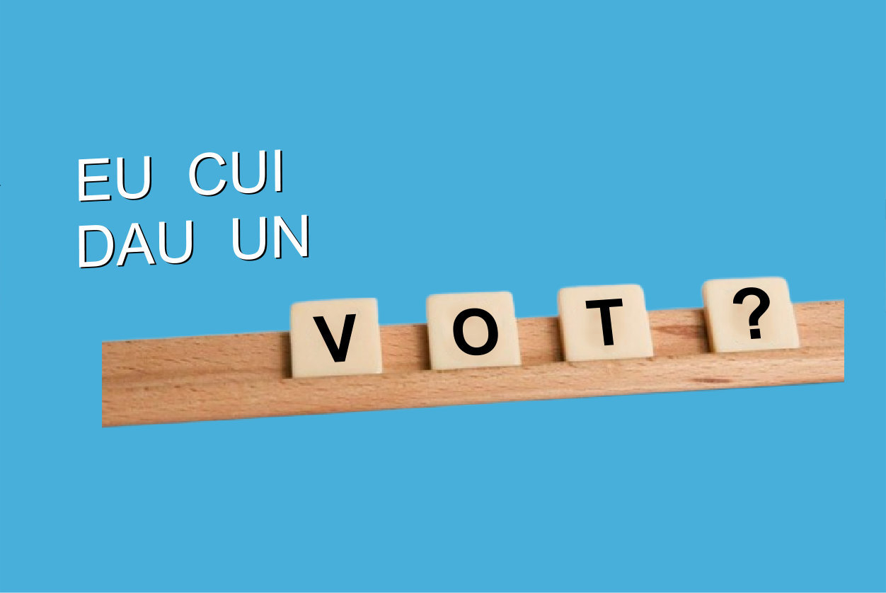 Eu cu ce dezorganizat votez anul ăsta?