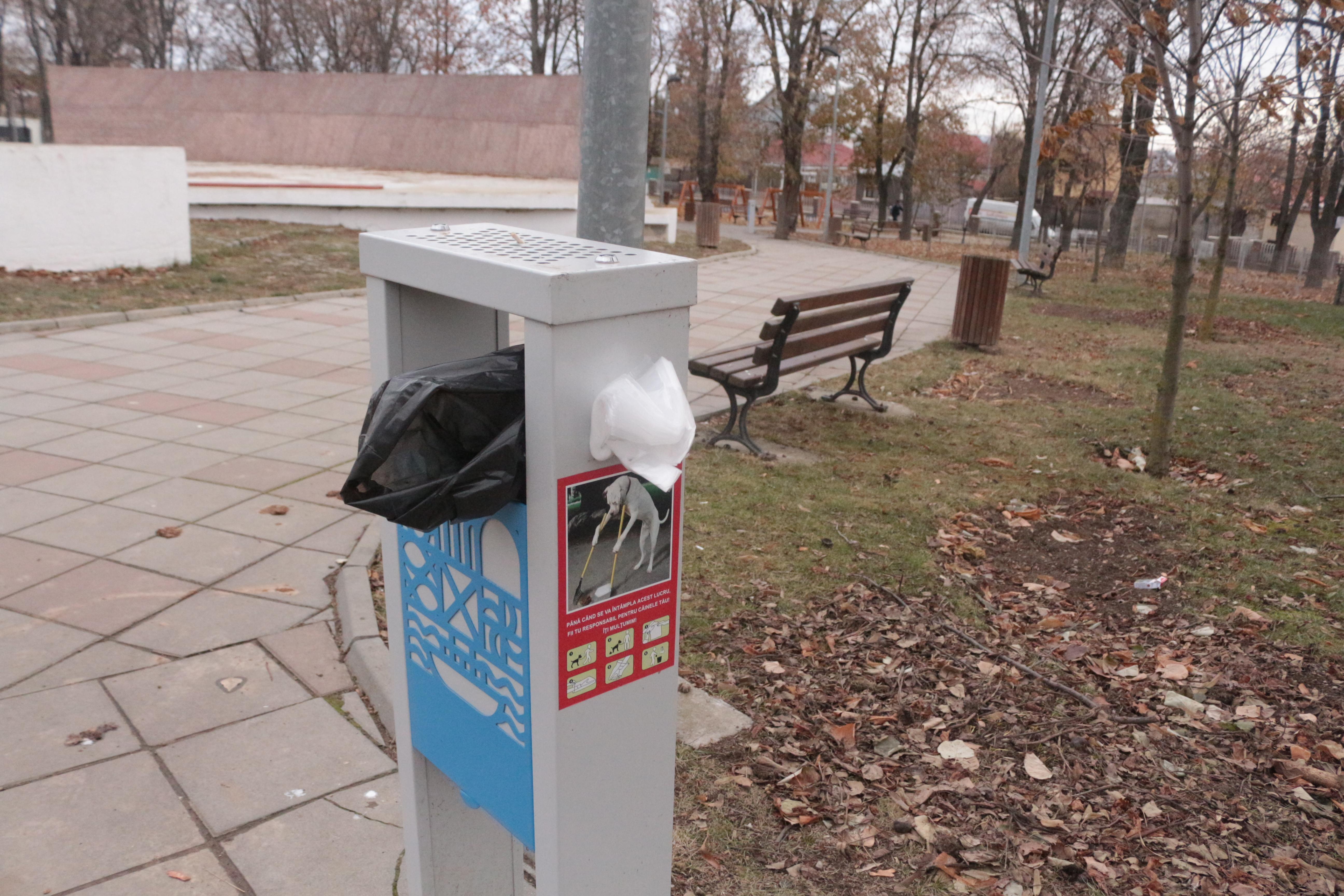 Mesaj pe copaci, într-un parc din Galați: Fii civilizat, strânge după câinele tău!