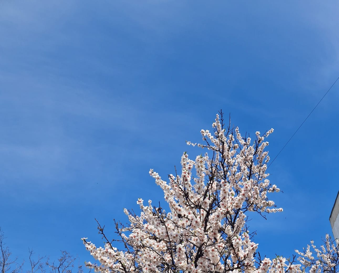Cer senin şi temperaturi în creştere