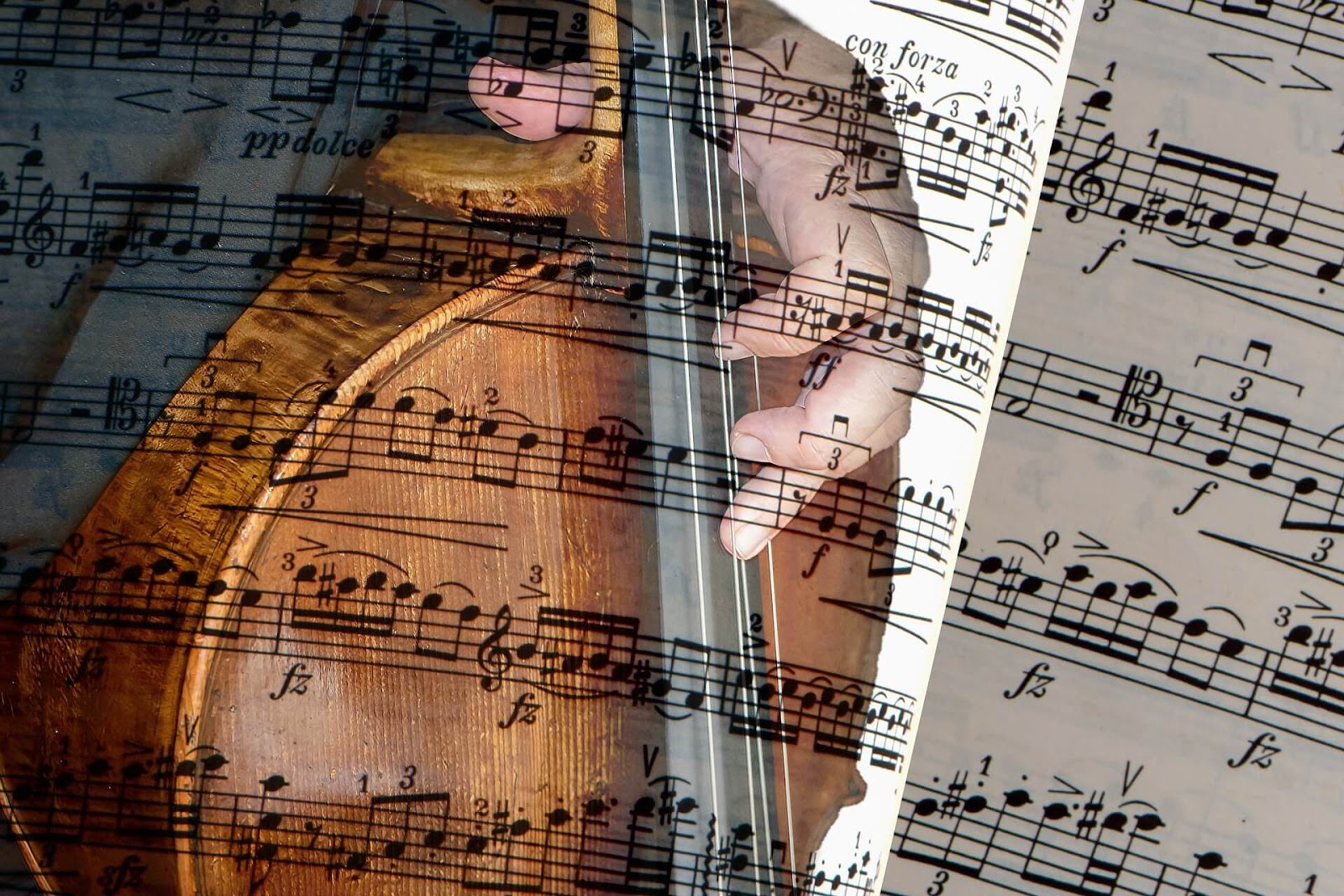 Galațiul a câștigat Concursul de Teoria Muzicii de la Bacău