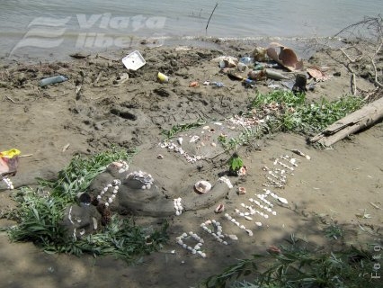 Micii artişti ai Dunării