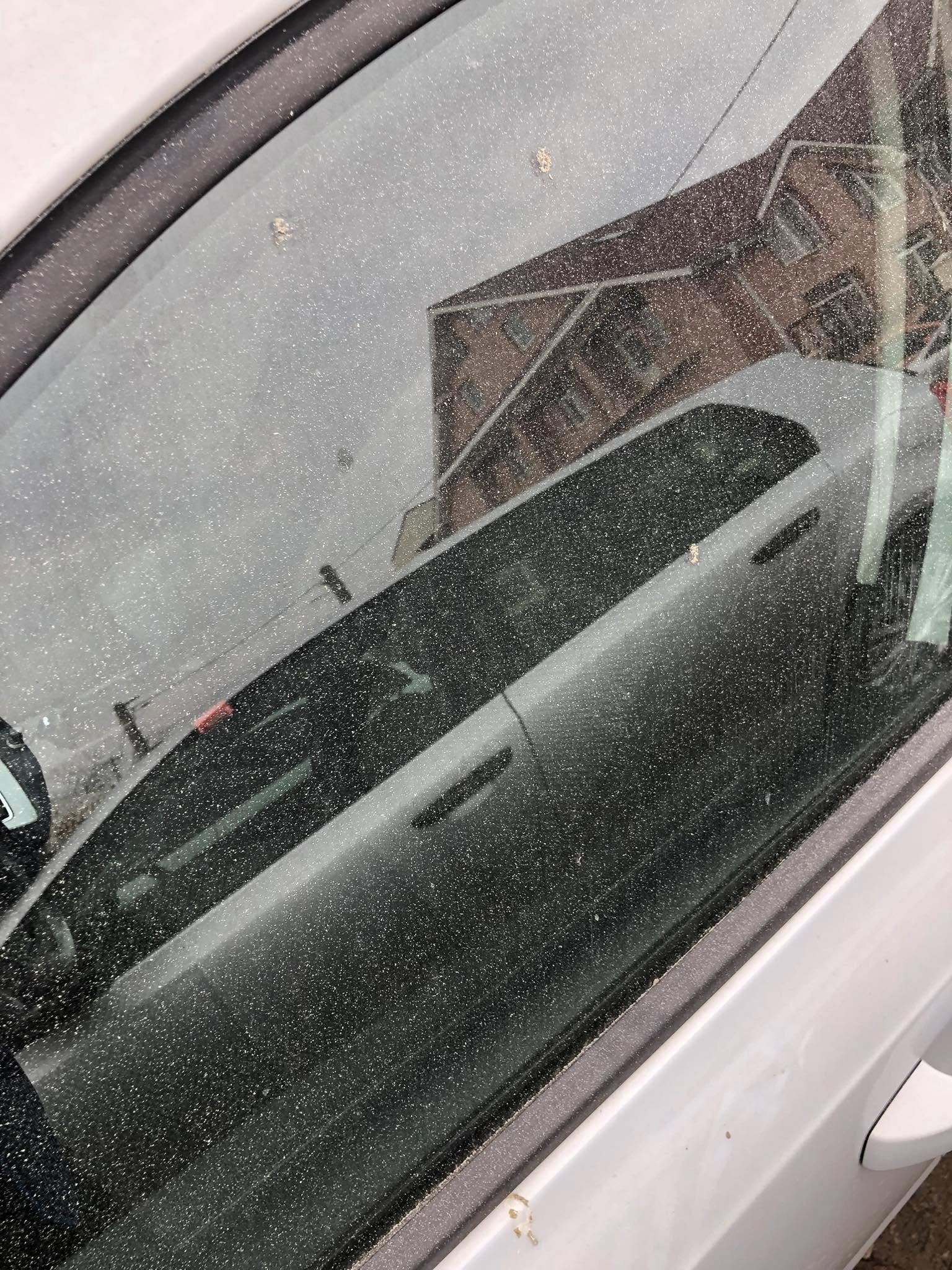 Activitatea unei fabrici de furaje, suspendată doar pe hârtie?