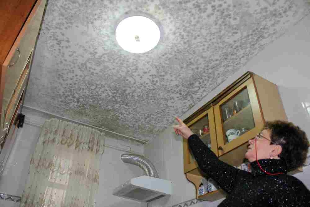 Plângere penală împotriva unei ASOCIAȚII DE PROPRIETARI. O casă plină de MUCEGAI, mărul discordiei