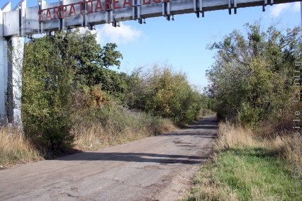 O treime din pădurea de la Roşcani e scrum